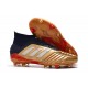 Nouvelles Chaussures Adidas Predator 19.1 FG 