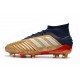 Nouvelles Chaussures Adidas Predator 19.1 FG 