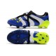 Chaussure Adidas Predator Accelerator FG Bleu Blanc Vert