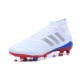 Nouvelles Crampons Football adidas Predator Telstar 18.1 FG Argent Rouge Bleu